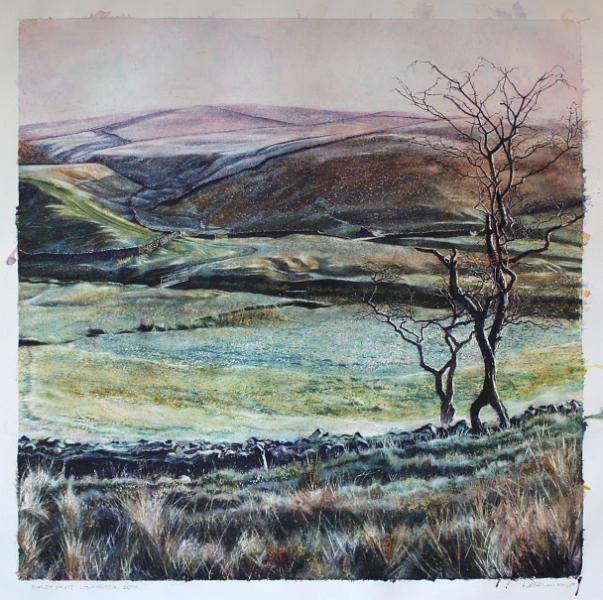 First Frost.JPG - "First Frost" on Long Preston Beck - by David Walshaw - May '08